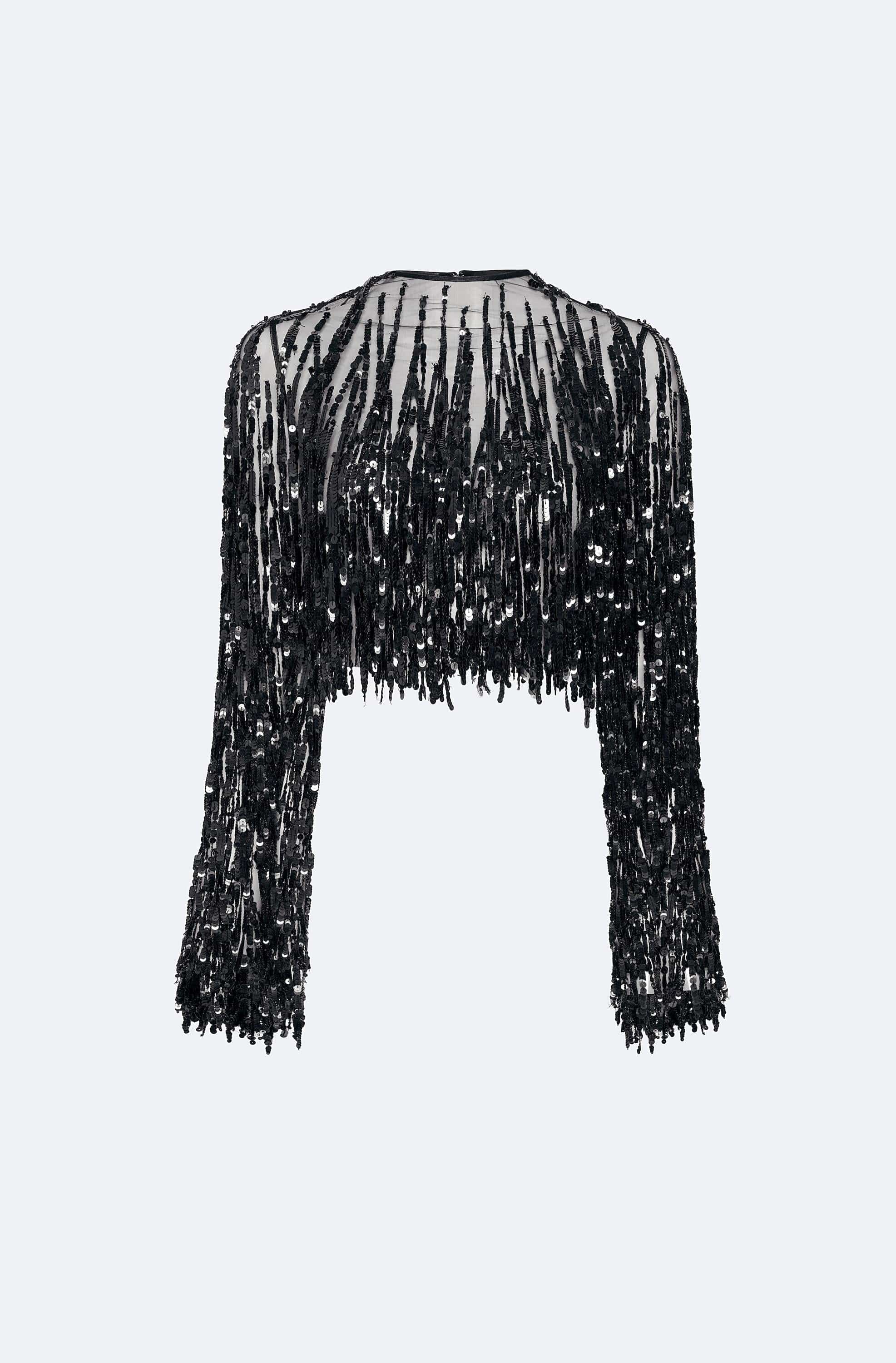 Fringe Sequin Cropped Top