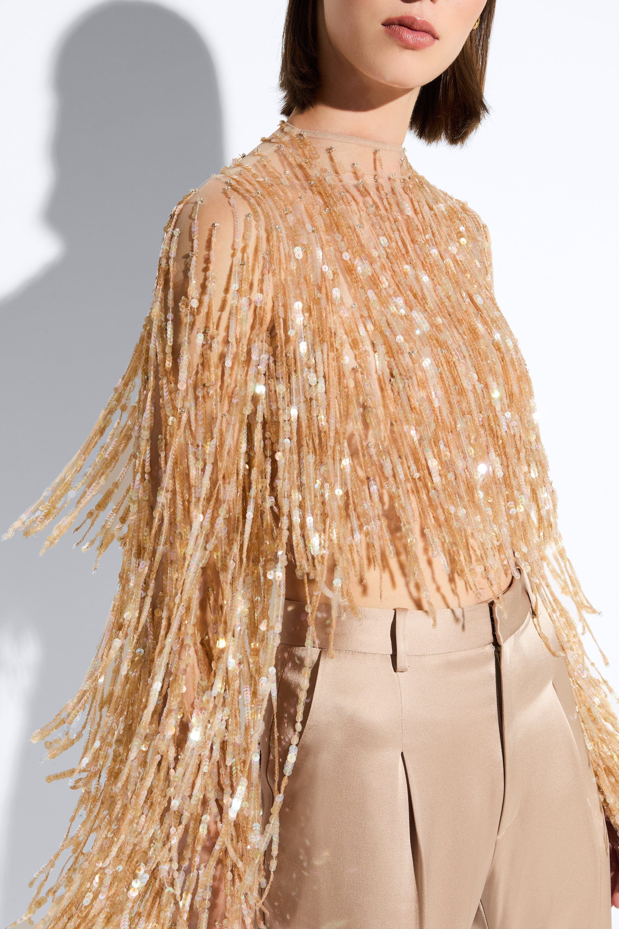 Fringe Sequin Cropped Top